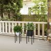 2 Pack Metal Plant Stand Indoor Black